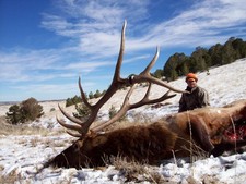 Our 2007 elk season was filled with lots of excitement and lots of big bulls.