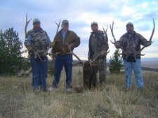 The Boman party shown with their 2007 bull elk.  Jerry, second from the left, took care of camp and made sure everything was in order.  See you guys again in 2010 for your mule deer hunt.  Thanks Jerry, Tim, Tad, and Troy for all the fun.