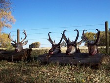 A picture after four days of hunting Wyoming for Whitetails and Pronghorns.