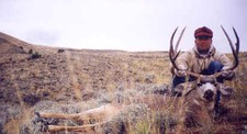 Trophy Mule deer taken by a member of the Atkins party during their fall 1998 hunt.  