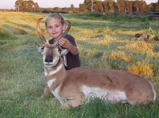 This pronghorn buck antelope was taken during the Wyoming special archery season.  Antelope draw success rates in our areas is usually 100%.