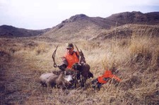 This mule deer buck was taken on the last day of the hunt. 