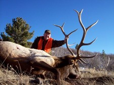 Ed Ogle took this trophy bull elk on the fourth day of his hunt.  This 300 class bull was taken after passing up several other 6x6 bulls that same morning.  Our success rate on bull elk was 100% again in 2009. 