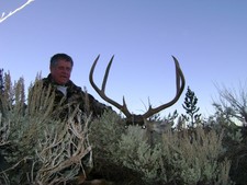 Mule deer hunting is one of the more challenging hunts we offer.  A deer/antelope combo hunt is our most popular hunt.