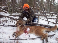 Another successful Bar-Nunn Hunt.  Mountain lion hunting is one of the most challenging hunts that we offer.