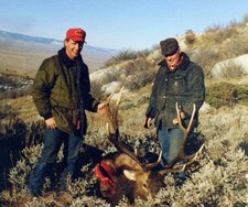 A nice 6x6 bull elk taken in early Nov. 