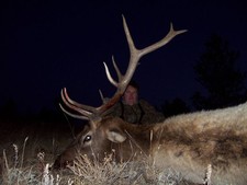 Mark Nethery shown here with his 2008 bull elk.  This was Mark Nethery's 10th year hunting with Bar-Nunn Hunting.  Each year Mark has hunted antelope, deer and elk on every trip and has never went hungry during the winter.  Meat is meat and a mans gotta eat!!!