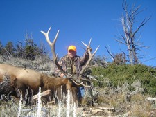 Troy Boman shown here with his trophy bull elk.  We told the Boman's that if they draw the tags we'll find them elk.  All three party members (all brothers) filled their tags with six point bulls.  