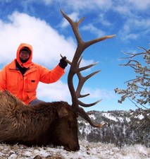 Scott Auld shows off his trophy bull elk.  This 6x6 bull elk was taken shortly after his hunting partner took a very similiar six point bull.