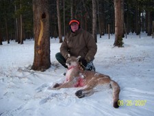 After several days of looking for a fresh track this Wyoming hunter finally crossed paths with a Wyoming Mountain Lion.  