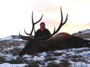 <p>Mark with his 2013 Wyoming Elk. Mark also shot a very nice <a href=