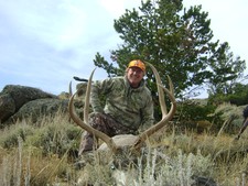 mule-deer-hunting