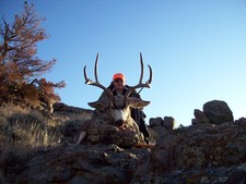 trophy-mule-deer