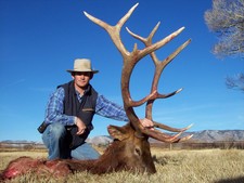 trophy-wy-bull-elk