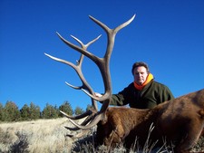 After 11 years of hunting with Bar-Nunn Hunting, Mark Nethery is still managing to take home bigger trophy's than in previous years.  Mark shot this big 6x6 bull elk on the first day, not to mention he also took an antelope and mule deer later that same day.  Mark follows our three rules and has never went home empty handed.