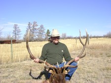 William Endicott took this awesome bull elk on the second day of his 5 day hunt.  He passed up several other 6x6 bulls waiting for the opportunity to take this trophy bull.